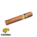 Charuto Cohiba robustos chapeco