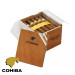 Charuto Cohiba robustos chapeco