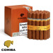 Charuto Cohiba siglo VI chapeco
