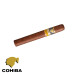 Charuto Cohiba siglo II chapeco